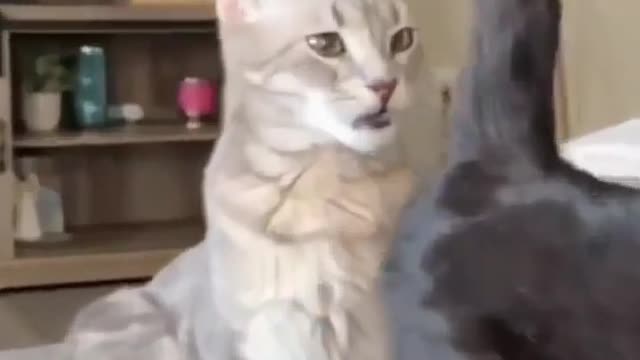 😹💭😭