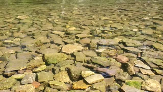 Birds and water relaxations