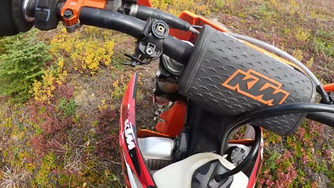 Mount Mercer dirtbike BC enduro