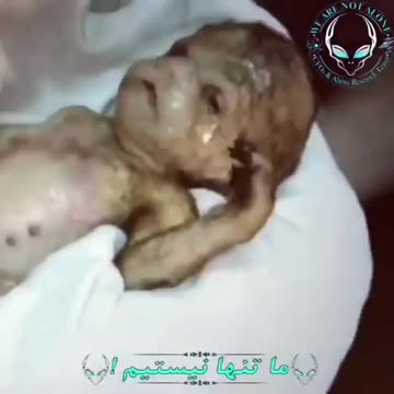 THE UNDERGROUND HAS MANY SECRETS