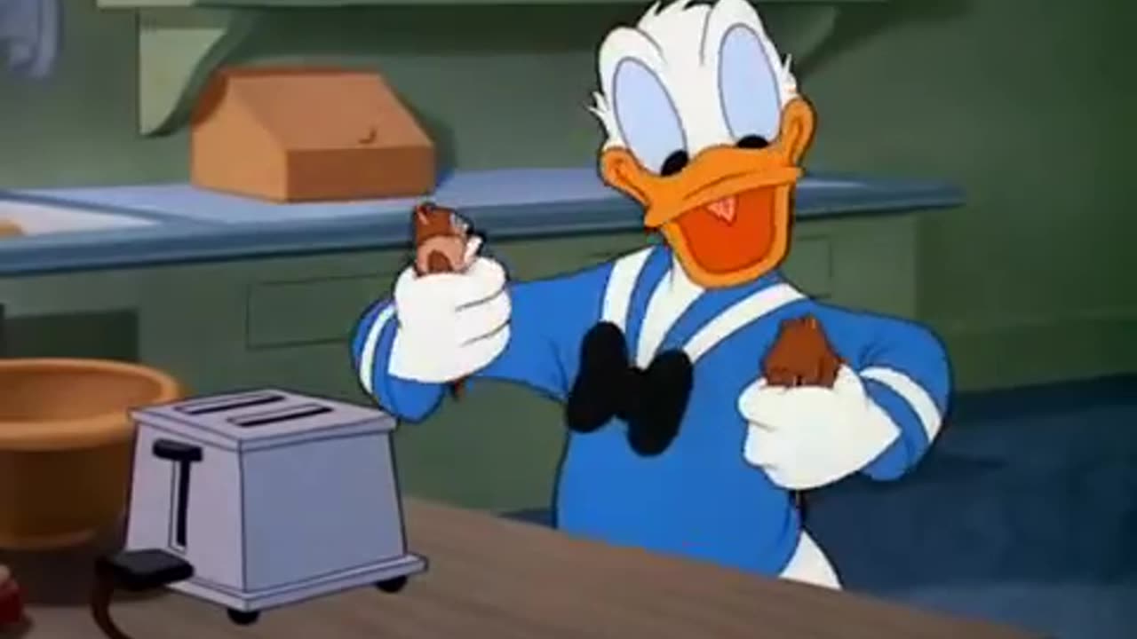 Duck & Squirrel Cartoon
