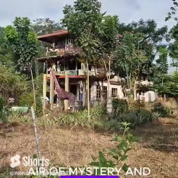 Is This Place Mysterious, Creepy, a Marvel, or All of the above?? #wow