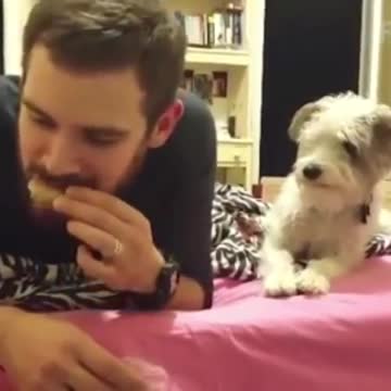 Don’t look at me while I am eating