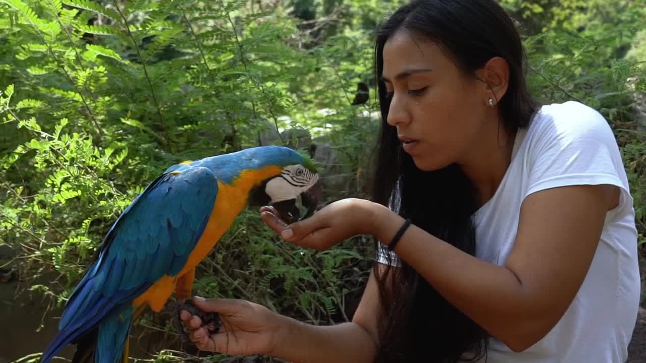 Bird Perched on the Hand of a Woma