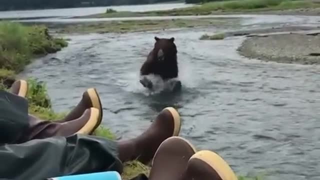 Amazing well collected #shorts of Japanese kid’s reactions.