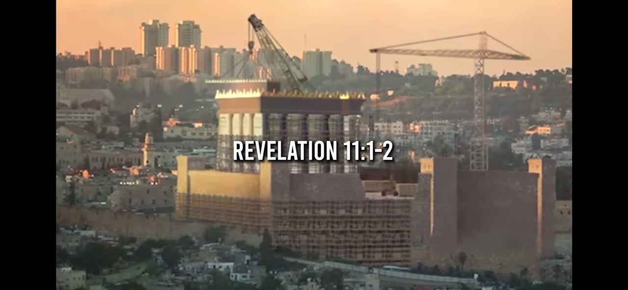 Red Heifers arrive in Israel - Does this event launch the construction of the 3rd temple?