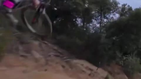 1287# MTB Downhill Sick RUN
