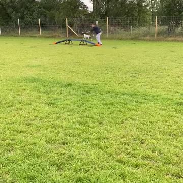 Dog tries agility course for the first time