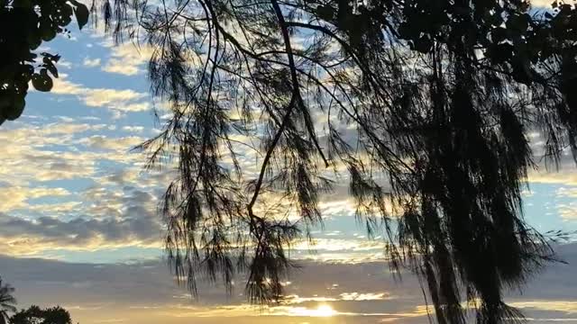 Peaceful Lake at Sunset in 4k Ultra HD