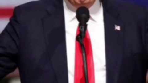DONALD TRUMP FUNNY VIDEO N° 4