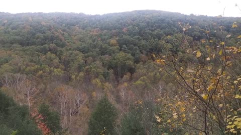 National Natural Landmark Clear Fork Gorge Mohican State Park & Forest