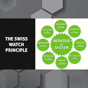 Thyroid #thyroid #health #body #help #throat #hormones #doctor #medical #ill #healthy #testing #diet