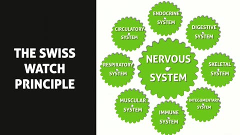 Thyroid #thyroid #health #body #help #throat #hormones #doctor #medical #ill #healthy #testing #diet