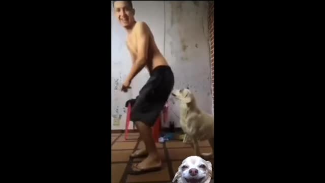 the dog did not like the dance