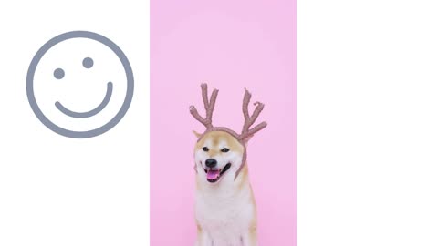 Cute Dog With Antlers Headband