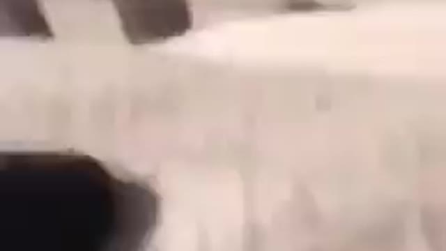 VW | SYMBOLISM | SWASTKA