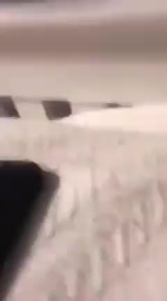 VW | SYMBOLISM | SWASTKA