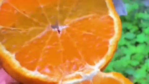 Fruits Video Farm Fresh Ninja Fruit Cutting Satisfying Fruit | Amazing Fruits Video #fruits #short