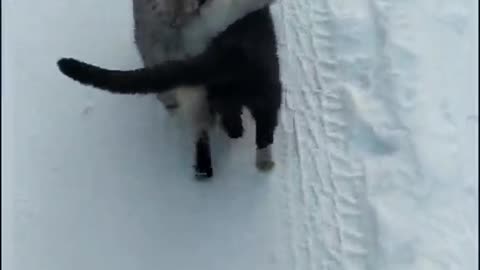 Warmer together)