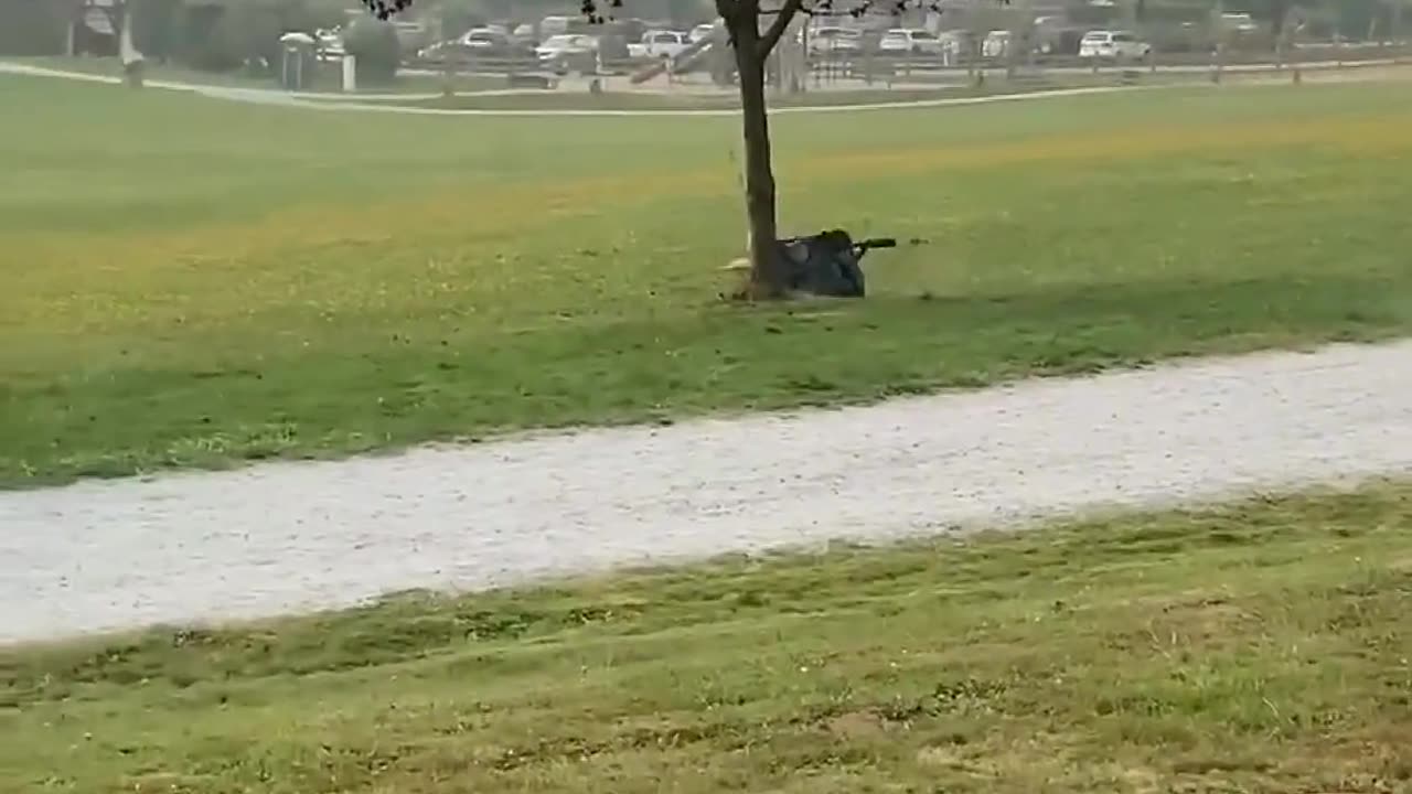 Out of an entirely empty field, they found the one tree