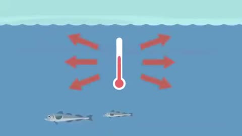 What causes of sea level rise?