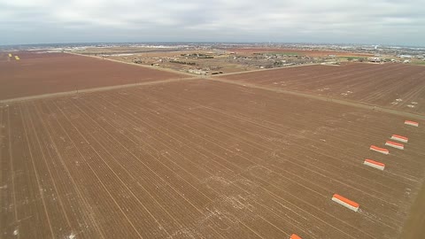 Winter cotton field 2