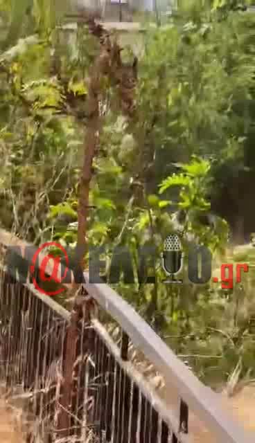 Φωτιά Έβρος - 2