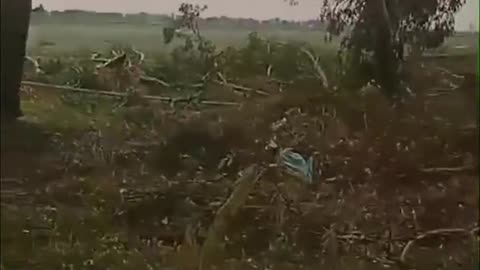 Destructive Tornado In Moga (Punjab, India) March 02, 2024