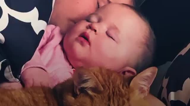 Cat And Baby Love To Snuggle Together