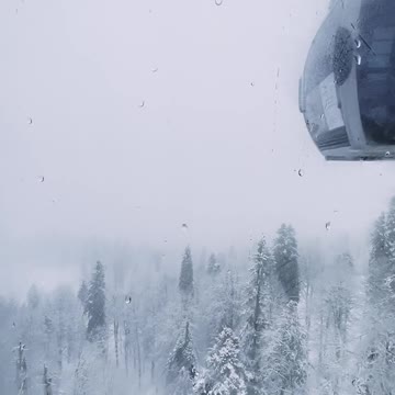 Nature Video Clips # - 19