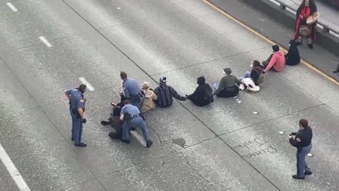 Seattle Police Arrest 12 BLM Protesters Blocking Highway