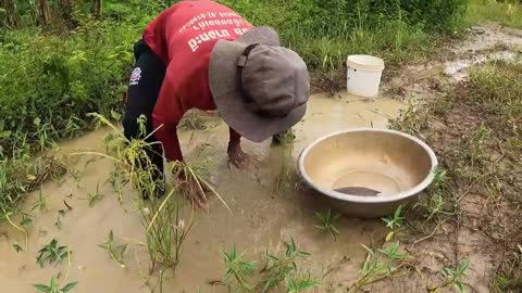 amazing fishing! a fisherman skill catch fish and crabs a lots by best hand in field-20