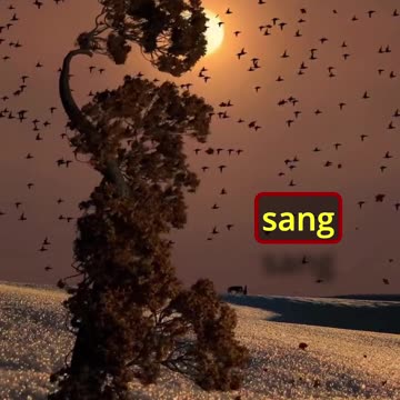 "Only the Best Sing: Why Many Stay Quiet"