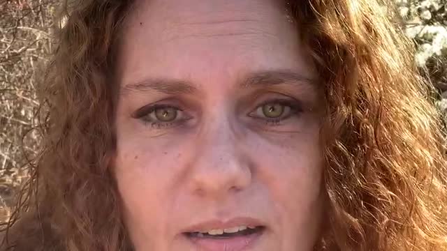 Mindfulness and Gratitude