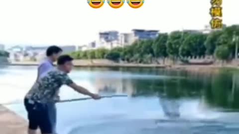 This is a beautiful and charming water-dwelling species