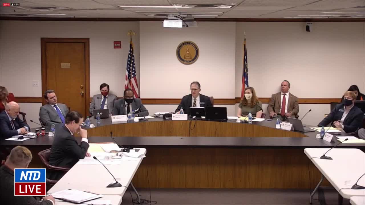 Ann Dover Testifies During Georgia Senate Hearing on Election Issues