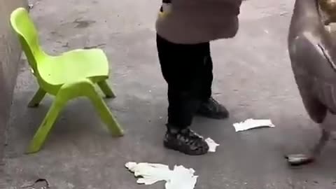 funny kid fighting goose