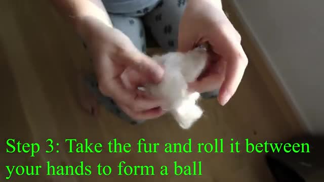 Amazing free cat toy - Siberian cat approved [DIY]