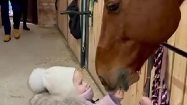 Cute girl feeding a horse ( very funny video )