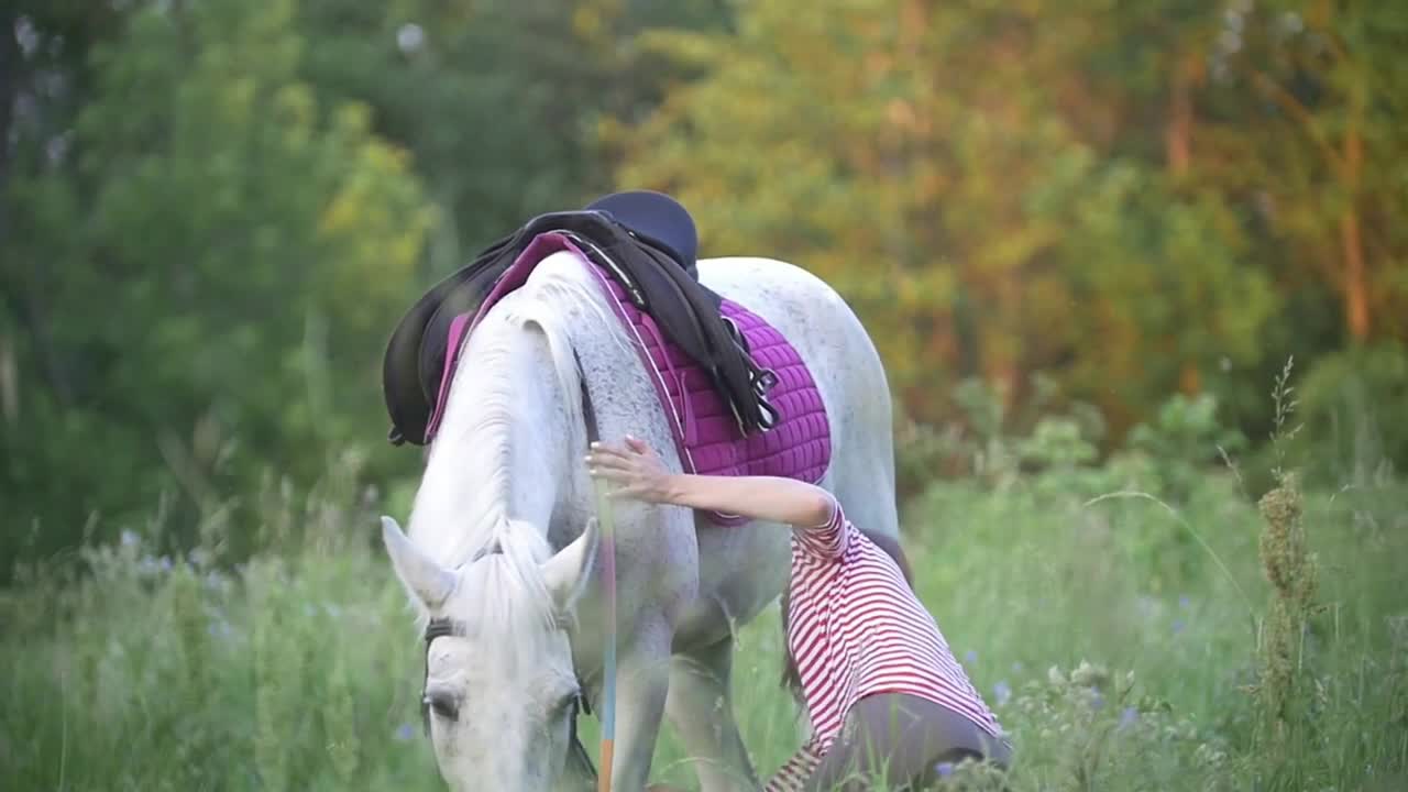 Young woman fixes the saddle on the horse in summer field