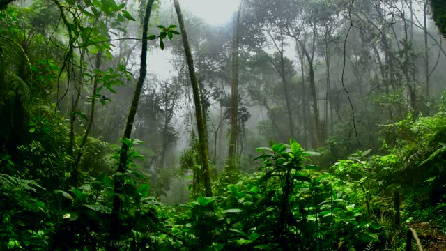 Relaxation Heavy Rain Down Pour * Helps you sleep soothing