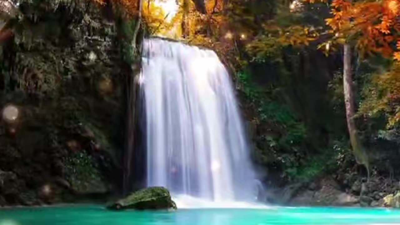 Just Nature