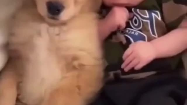 This dog finally found his best friend