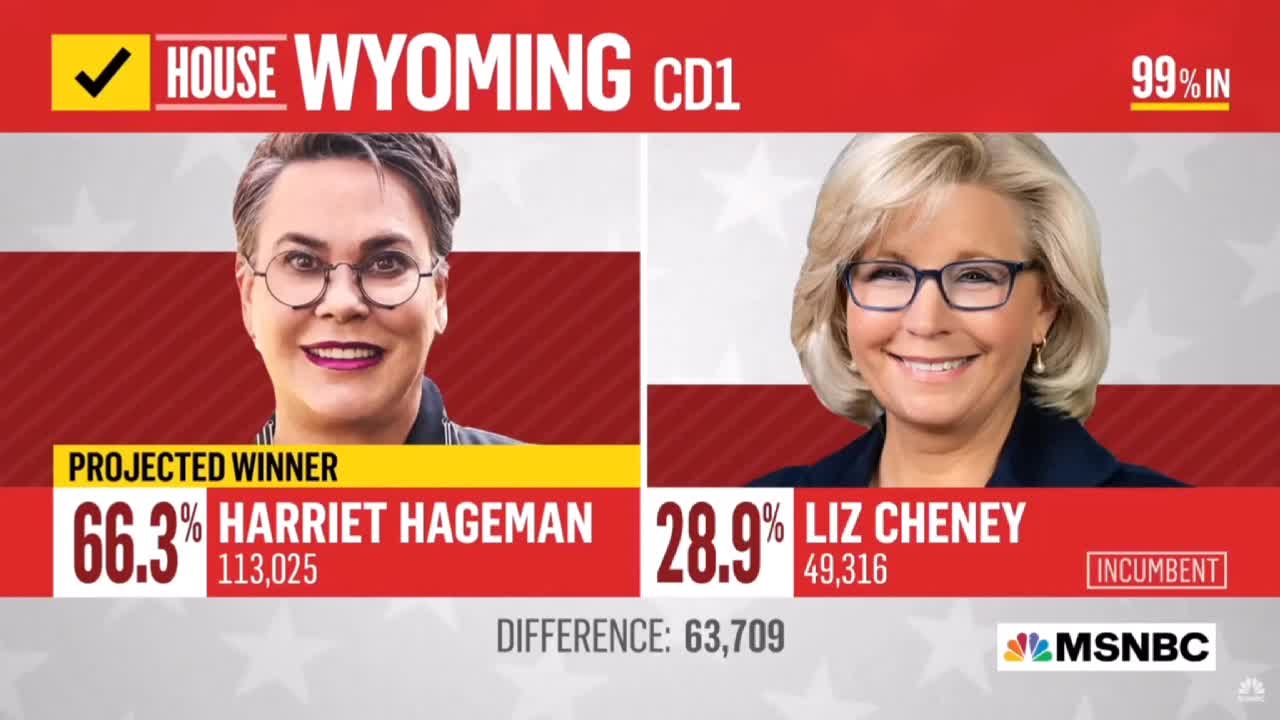 MSDNC Hilariously Tries To Turn Liz Cheney’s Crushing Defeat Into A Win