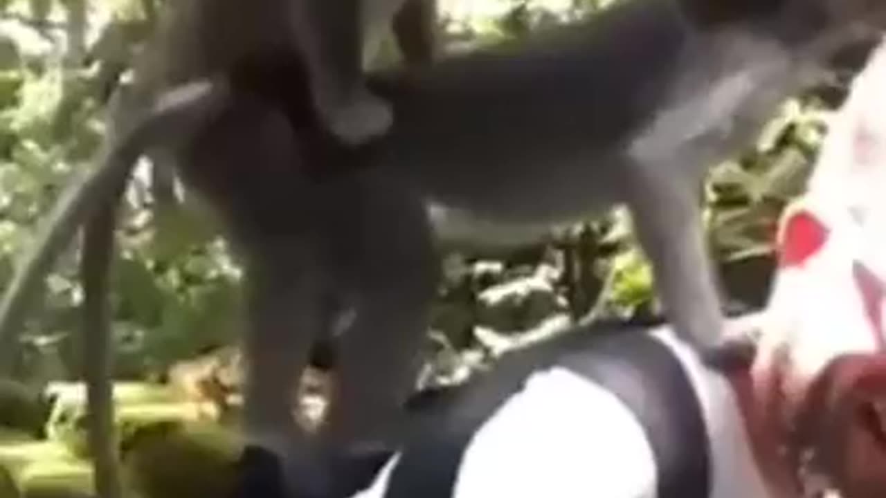 ππ€£ π₯³He will never forget it.ππ€£π₯³
