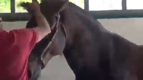 8s)funnyvideo