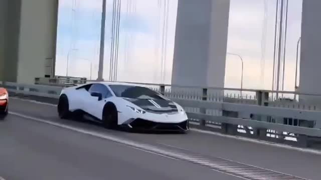Car lovers follow and like