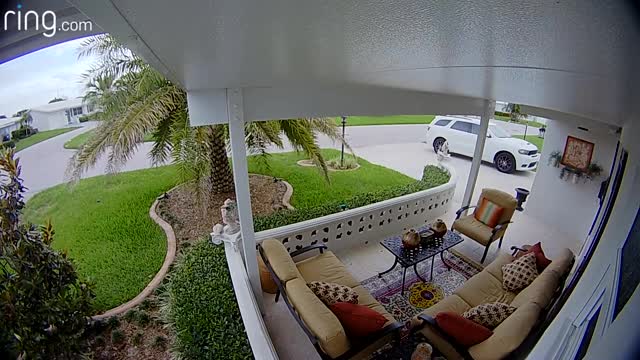 Substitute Mail Carrier Tosses Package