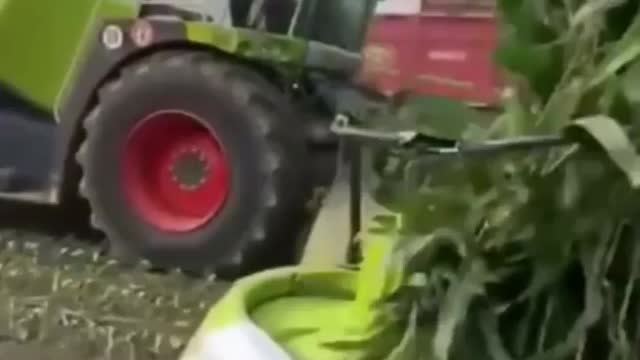 Wow crops cutting Machine