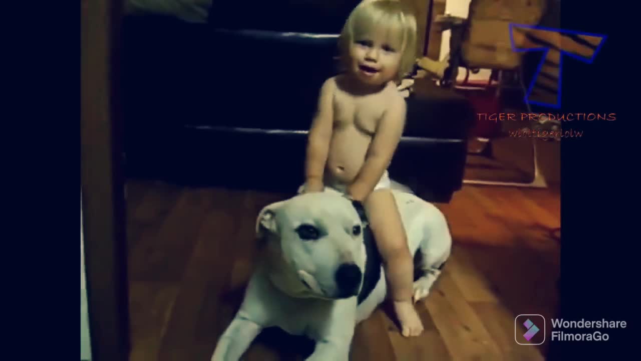 Funny,funny dog,funny baby, funny dog anf baby